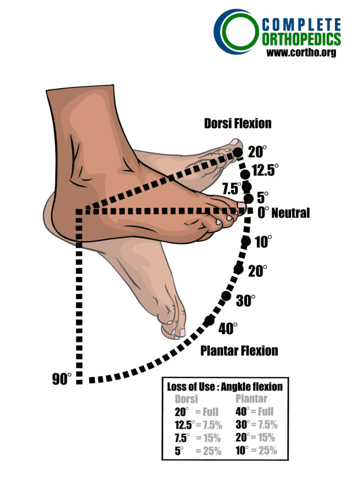 Percent-Loss-of-Use-of-the-Foot-Flexion-Deficits-of-the-Ankle
