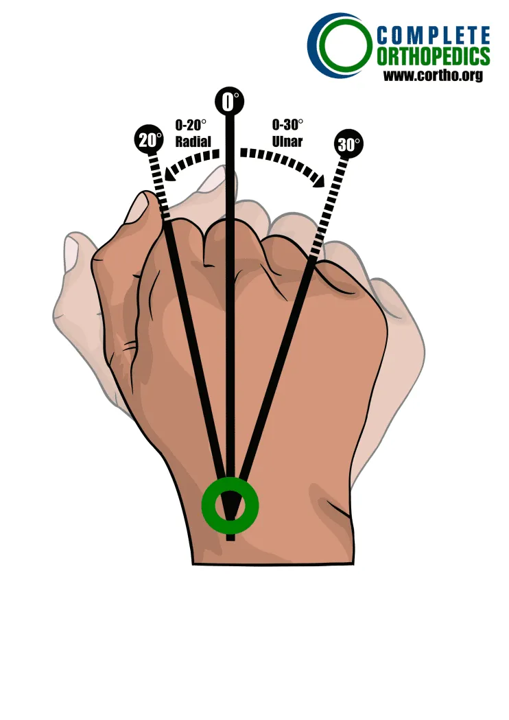 carpomatacarpal joint of wrist radial and ulnar motion to evaluate loss of motion to calculate scheduled loss of use for workers compensation patient